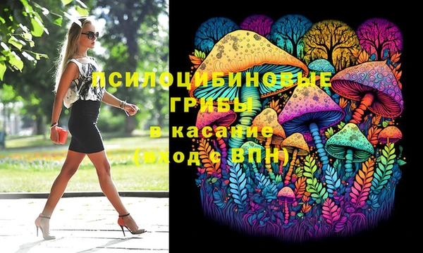 герыч Алексин